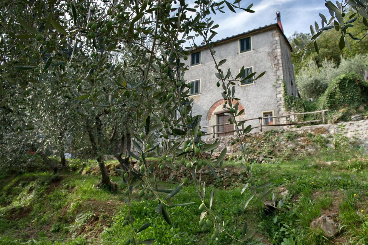Tenuta San Giovanni - Borgo Ai Rovai Villa Lucques